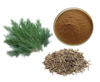 Polvo de extracto de hoja de Platycladus orientalis