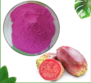 Polvo de fruta de cactus/polvo de hoja de cactus