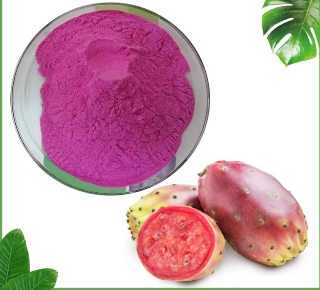 Polvo de fruta de cactus/polvo de hoja de cactus